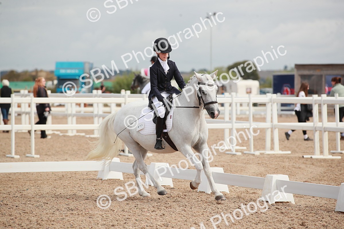 SBM_03985 - Class 31 - Prelim 1