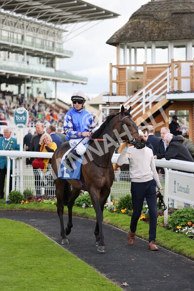 yr11052022r6-5 - Race 6 4.45pm Conundrum HR Consulting Stakes