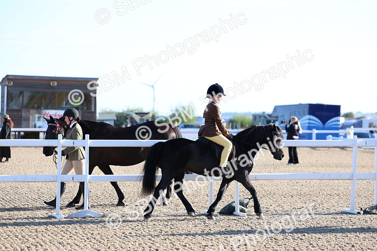SBM_07792 - Class 301 - Ridden M&M - Small Breeds