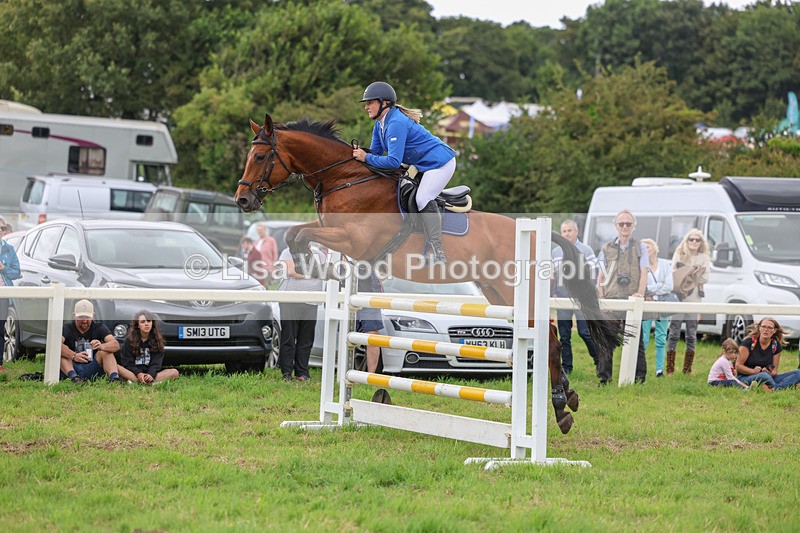 3E7A8176 - Class 7: Senior Newcomers/1.10m open