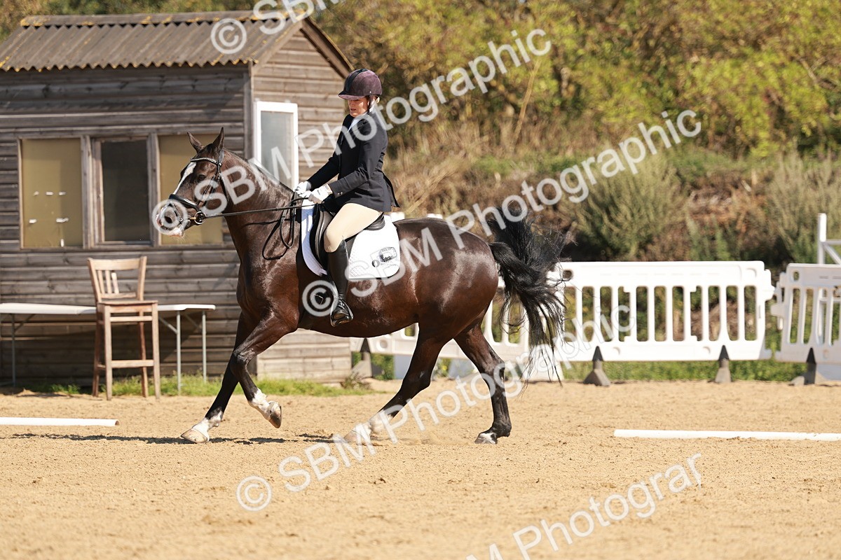 SBM_010413 - Class 3 - Prelim 2