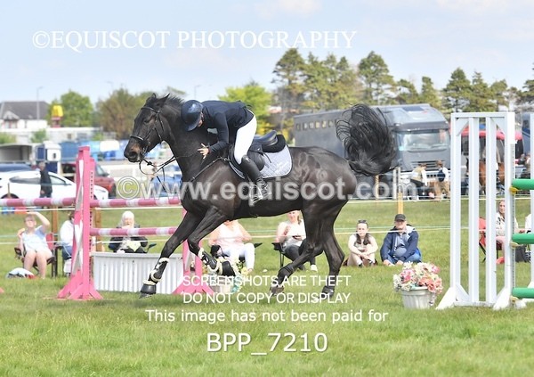 BPP_7210 - CLASS 3 Andrew Hamilton Coach, RHS Foxhunter Championship Qualifier