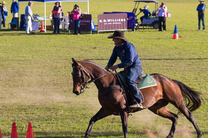 Guy McLean 10. 0A3A9578 - 2025 Senic Rim Clydesdale Spectacular
