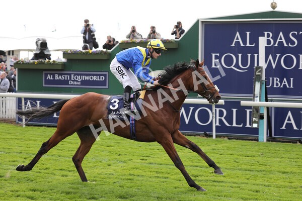yr12052022r4-49 - Race 4 3.35pm Al Basti Equiworld Dubai Dante Stakes