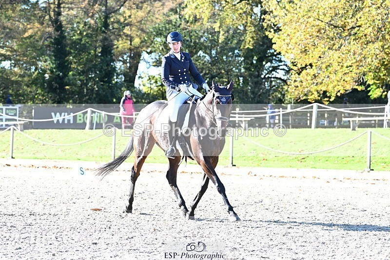 231110-105817-00264 - Cls 2 Prelim 17(a)Q