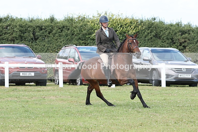 JPP_2408 - Class 19: Working Hunter 60cm