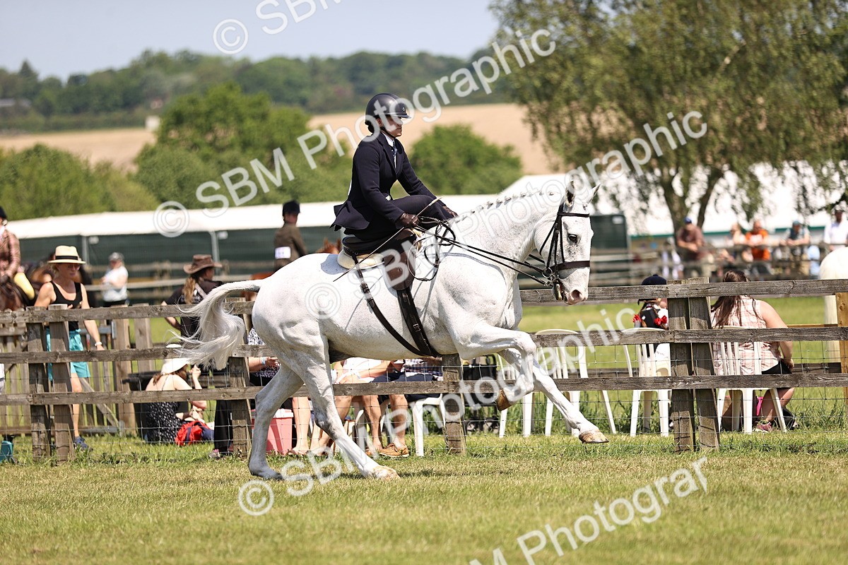 SBM_15161 - Class 79-80 - LIHS BSHA Rising Star Ridden Hunter