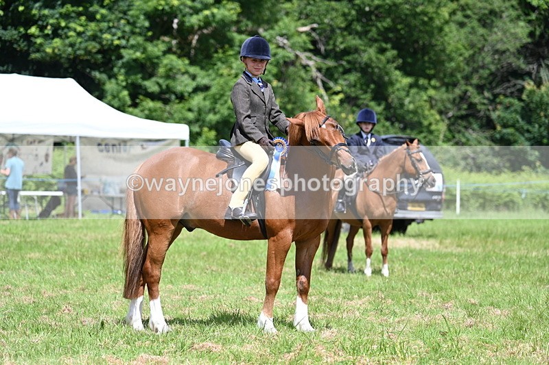WJ7_1792 - Class 9 Pony Club Pony