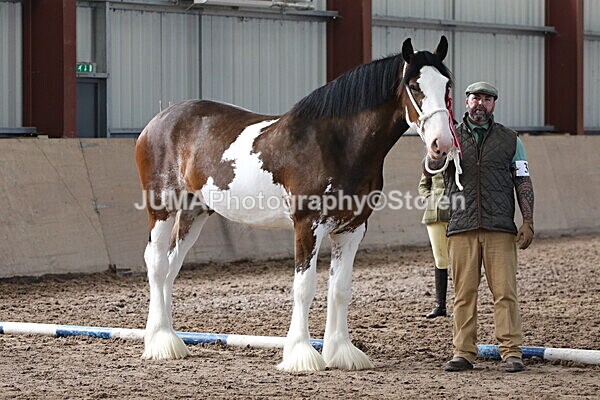 SIAL0354 - Indoor Classes