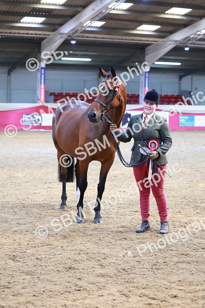 SBM_04325 - Class 9R - IH Pre-Vet