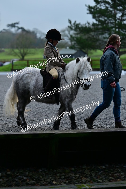 20260125-0799 - Class 9a - Walk Trot Assisted