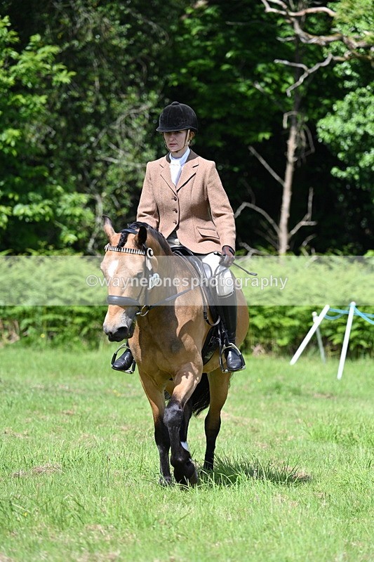 WJ7_1170 - Class 11 Condition & Turnout
