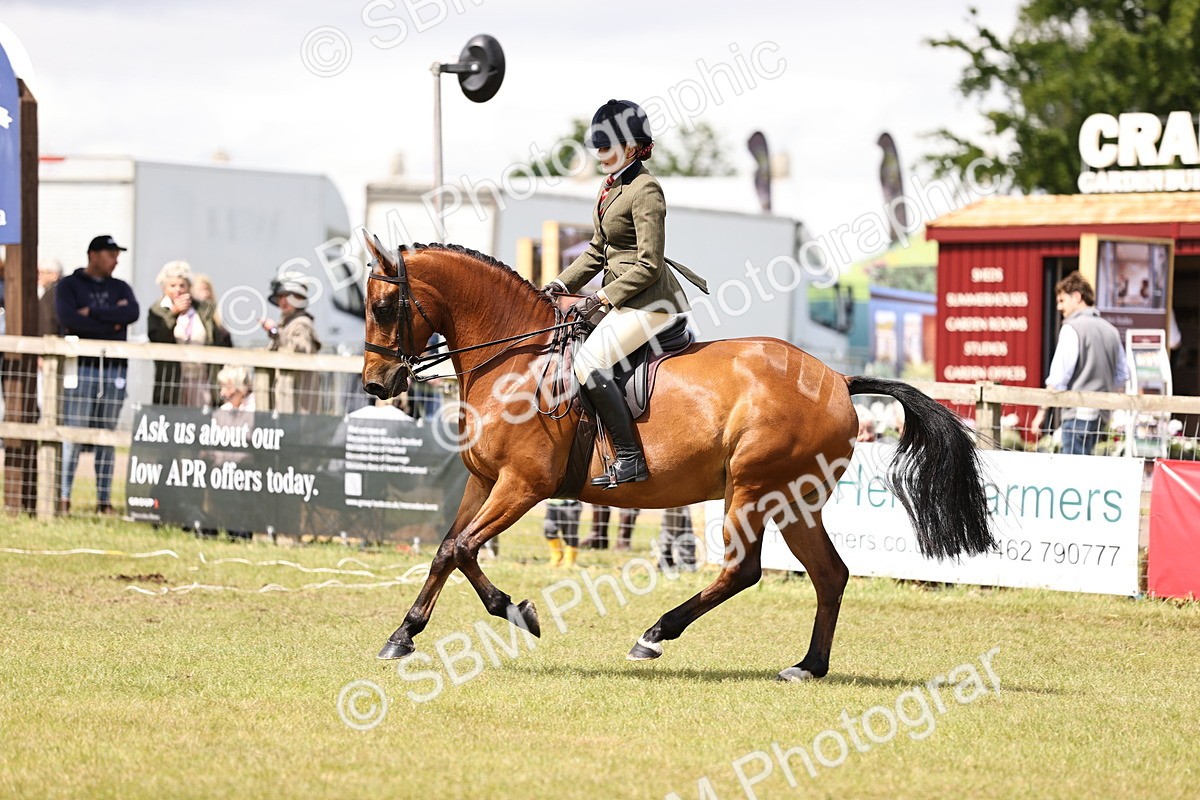 SBM_14564 - Class 88-89 - LIHS BSHA Rising Star of Ridden Hunter Type