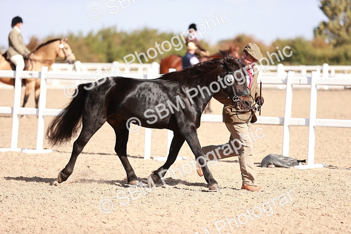 SBM_22779 - Class 705 - IH Combination 65+