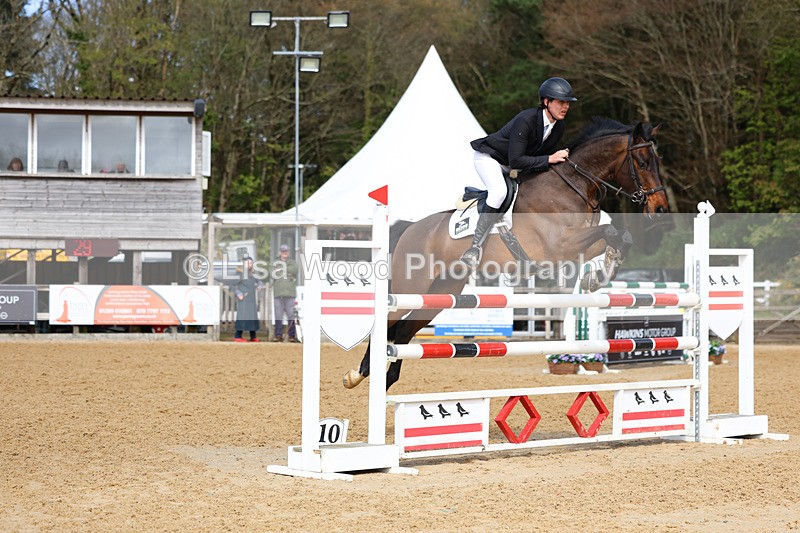 3E7A2199 - Class 8: Senior Foxhunter/1.20 open
