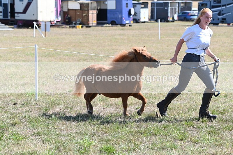 WJ6_4591 - Class 17 Mountain & Moorland