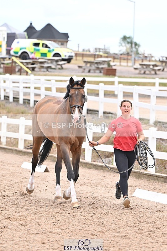 250716-140300-00880 - Trot Up 1.30 to 2.30