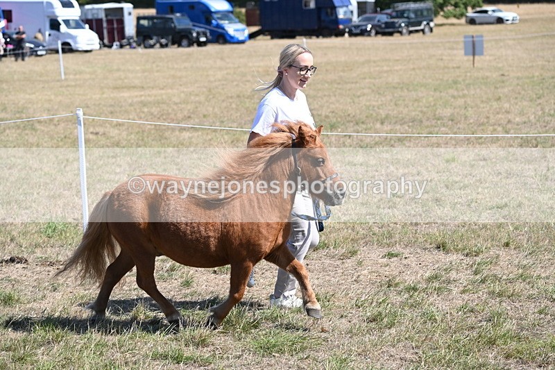 WJ6_9221 - Championship Classes 33-38