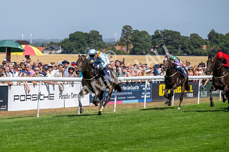 120826-Race 1-Lexington Boom-5076 - Race 1 14.15pm Macan At Porsche Centre Hull EBF Restricted Novice Stakes