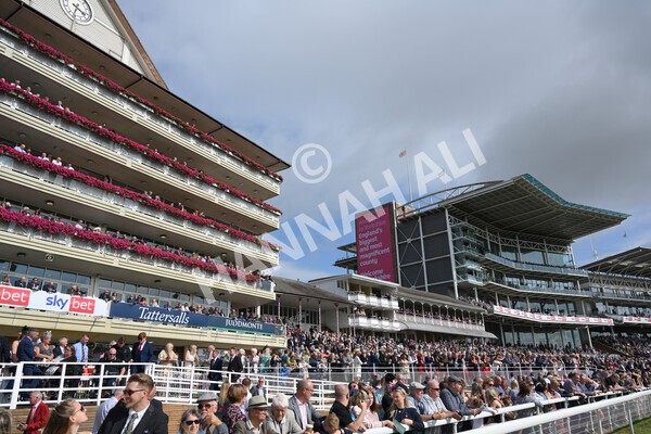 yr18082021r4-61 - Race 4 3.35pm Juddmonte International Stakes (British Champion Series race)