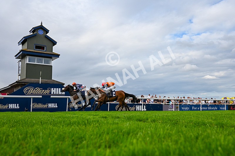 300826-Race 6-Court Legend-6193 - Race 6 4.30pm Return Of The Legend Martin Spencer Nursery Handicap