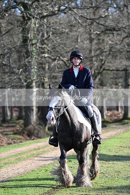 WJ7_7821 - Line 3 (no line 4 or 5)