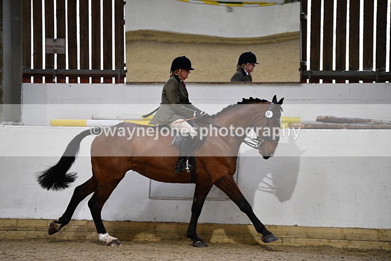 WJ5_9019 - Class 15 Ridden Show Horse