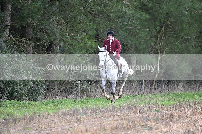 WJ6_9463 - Line Four