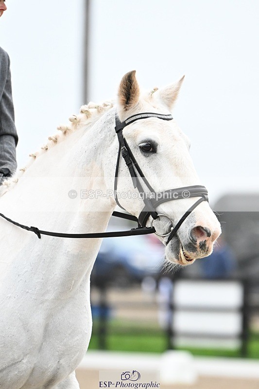 241103-103038-00351 - Intro 3 - 9.40 to 10.40