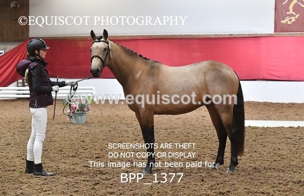 BPP_1377 - MORNING 9AM - 12PM