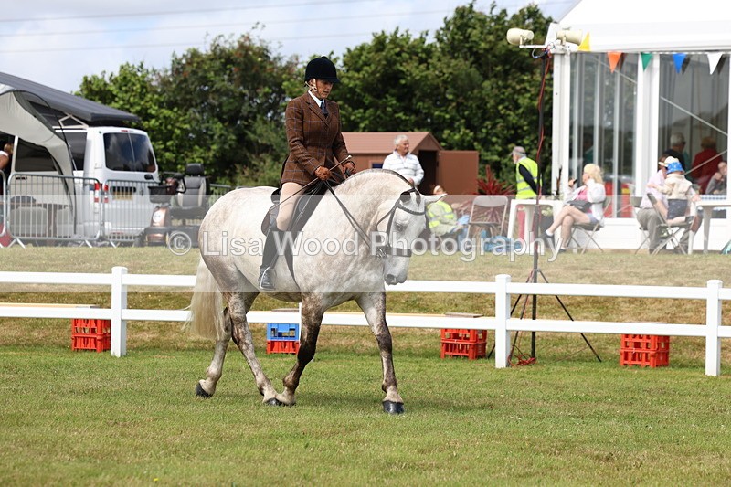 3E7A0243 - Class 6: Rising Star Maxi Cobs