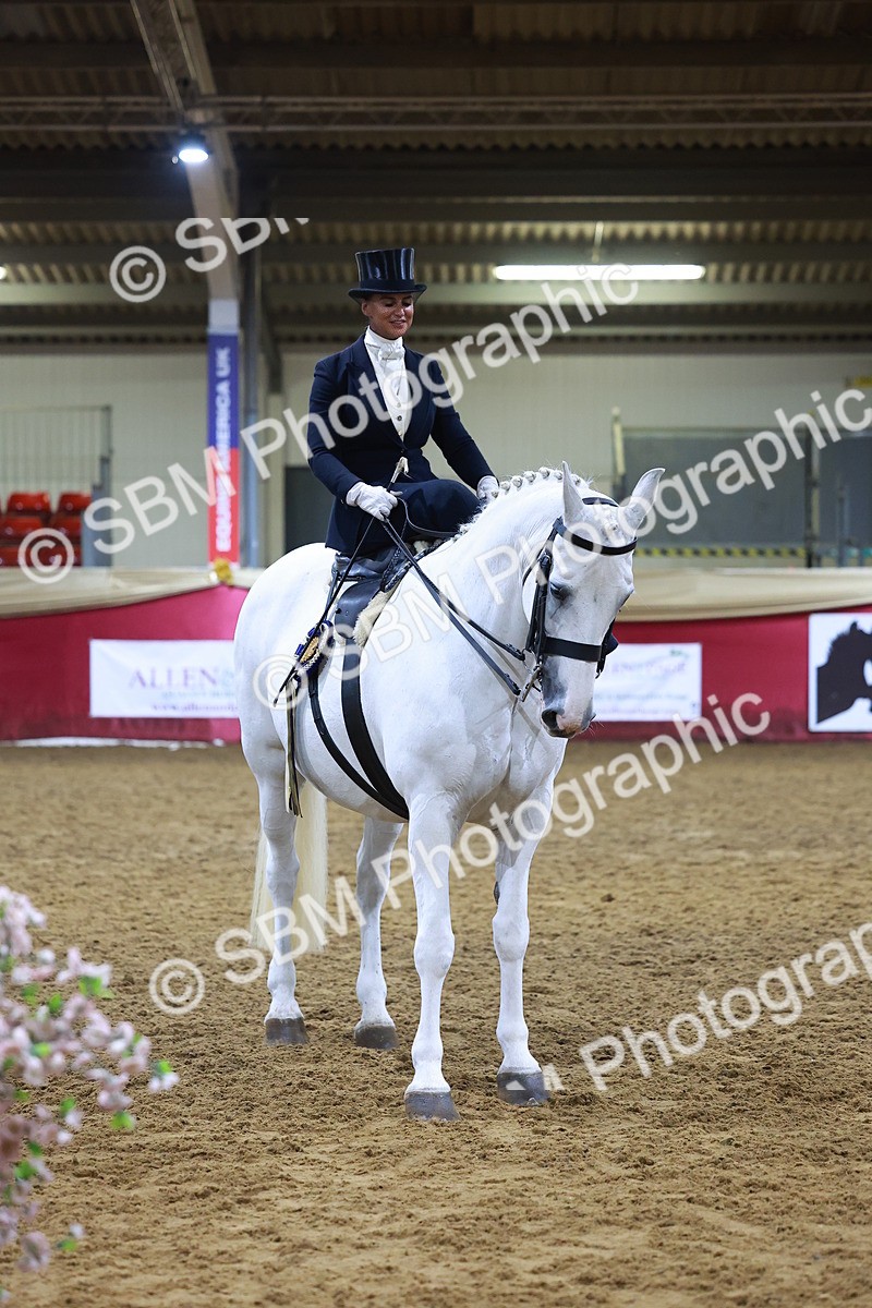 SBM_15041 - Class N - Side Saddle Champ