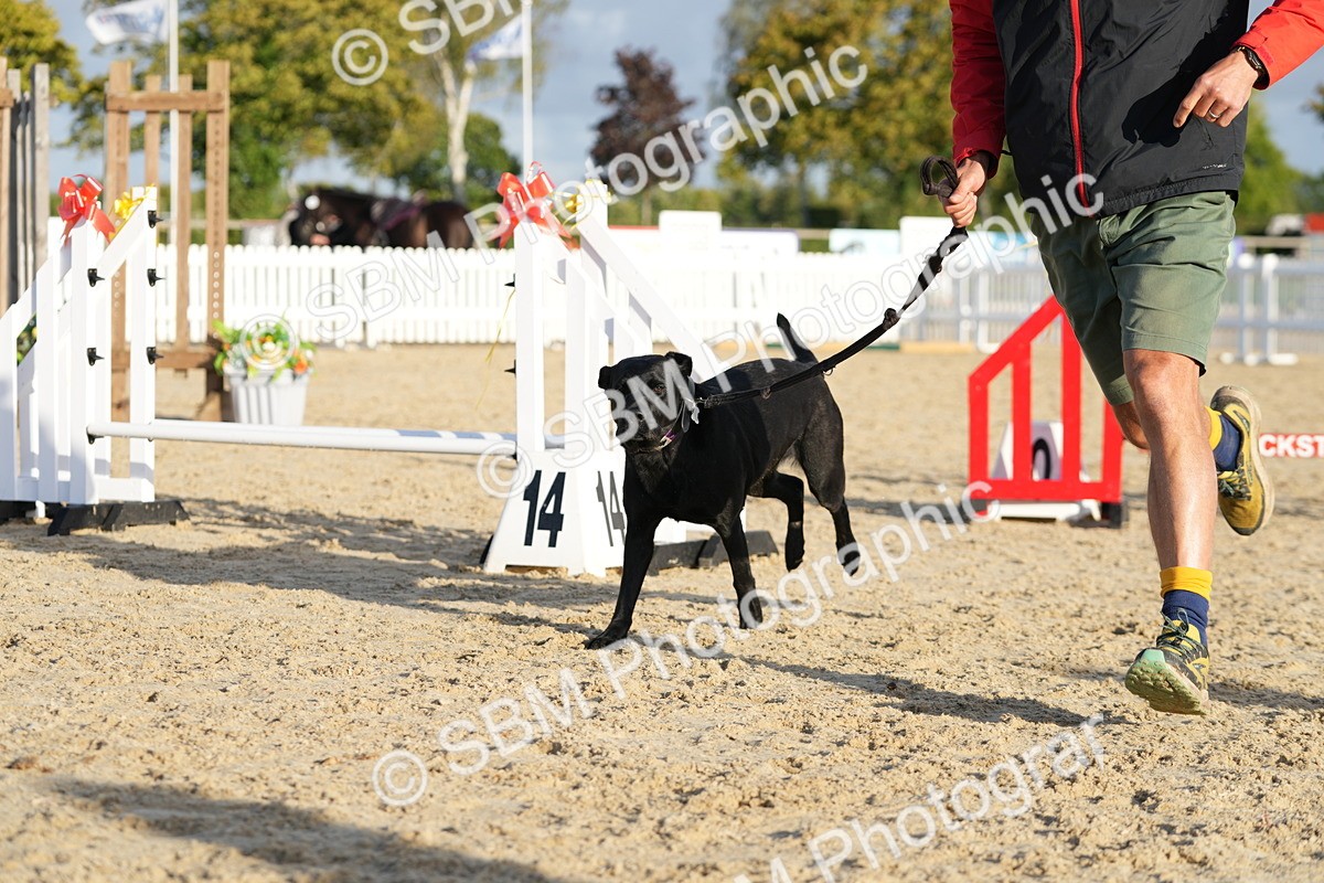 SBM_29369 - J44 - Horse & Hound Open 70cm