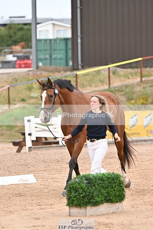 250716-160806-02436 - Trot Up 3.30 to 4.30