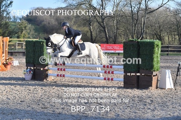 BPP_7134 - CLASS 18 SUN Pony British Novice / 0.80m Open