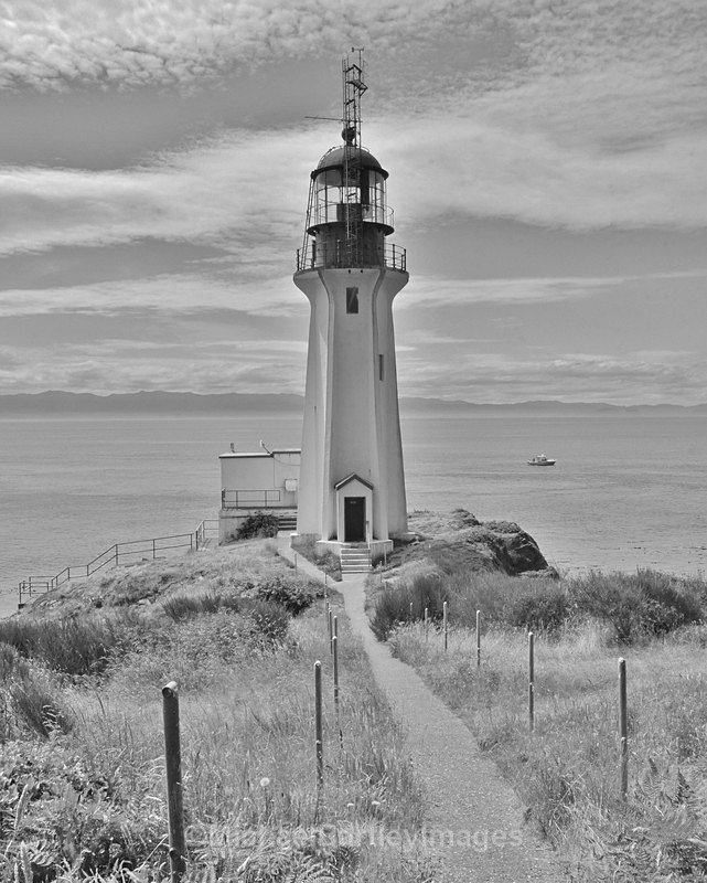 Point No Point - Black and White