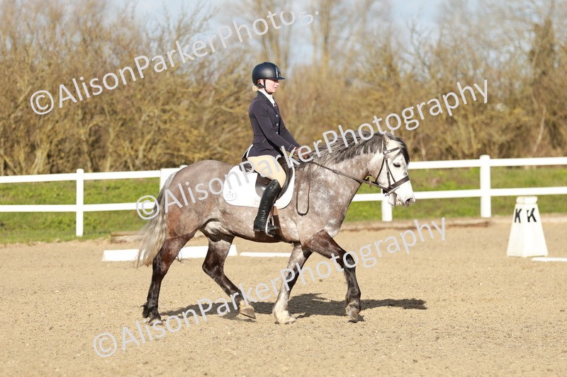 20260314-5409 - DR4 - Prelim 2