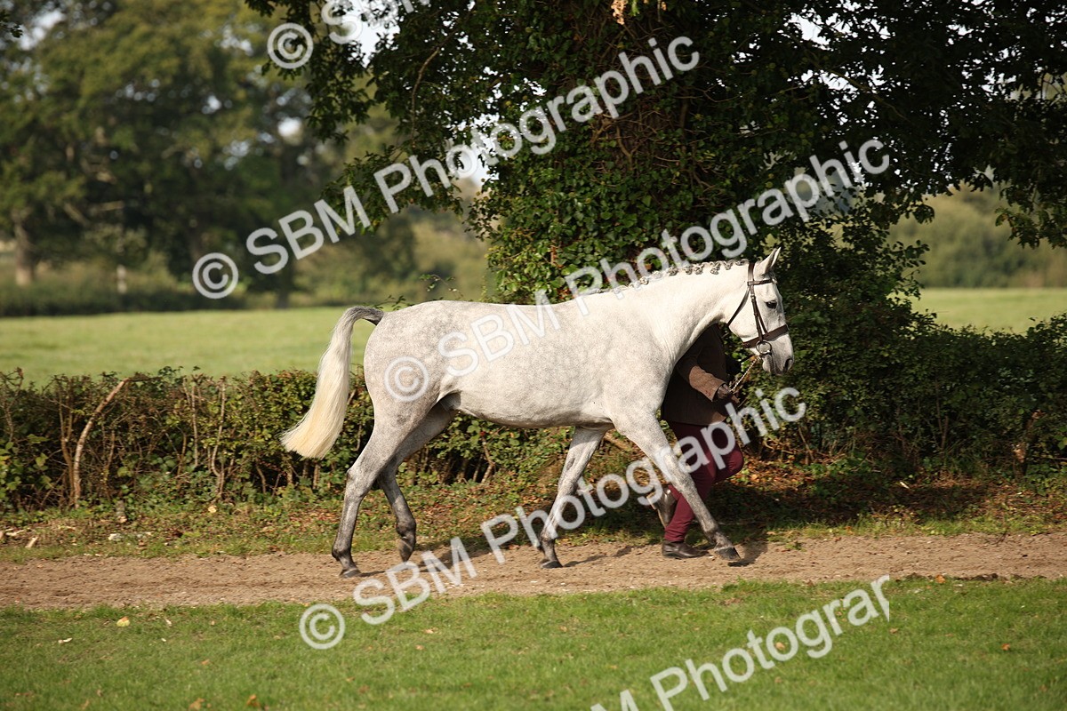 SBM_60063 - S53 - Hunter In Hand