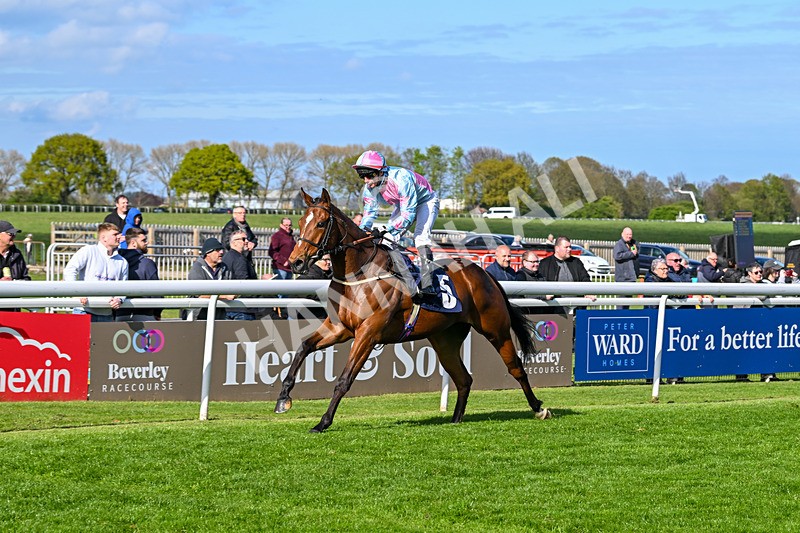 240425-Race 6-Alfie Boy-1670 - Race 6