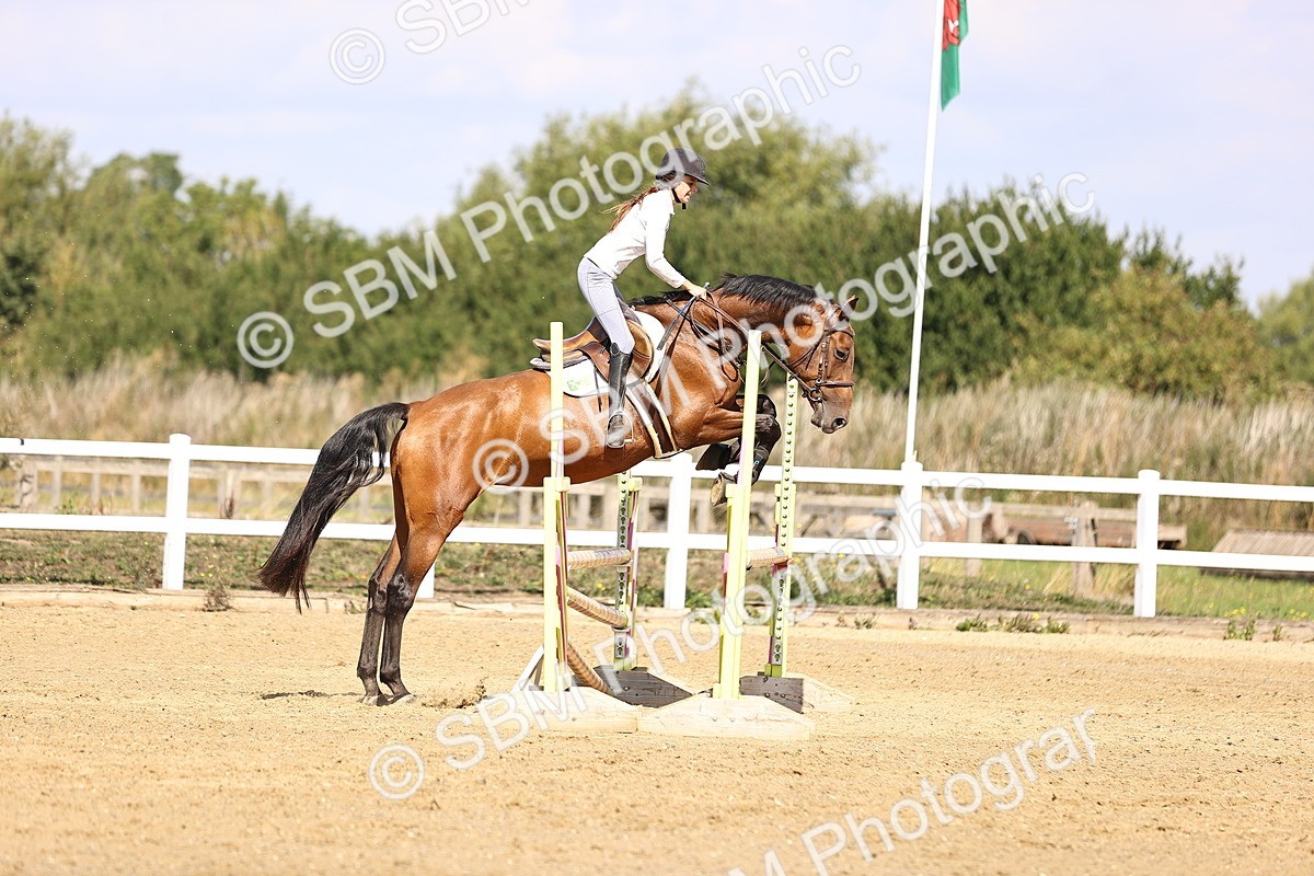 SBM_005888 - Class 9 - Senior British Novice - 90cm
