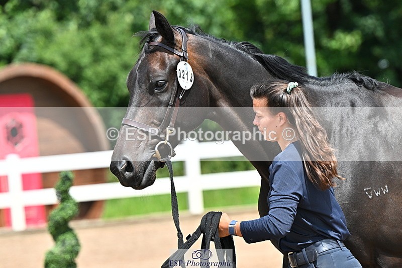 240718A-105316-01780 - Trot Up 1pm to 2pm