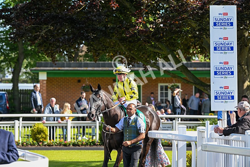 160624-Race 4-Align The Stars-8651 - Race 4