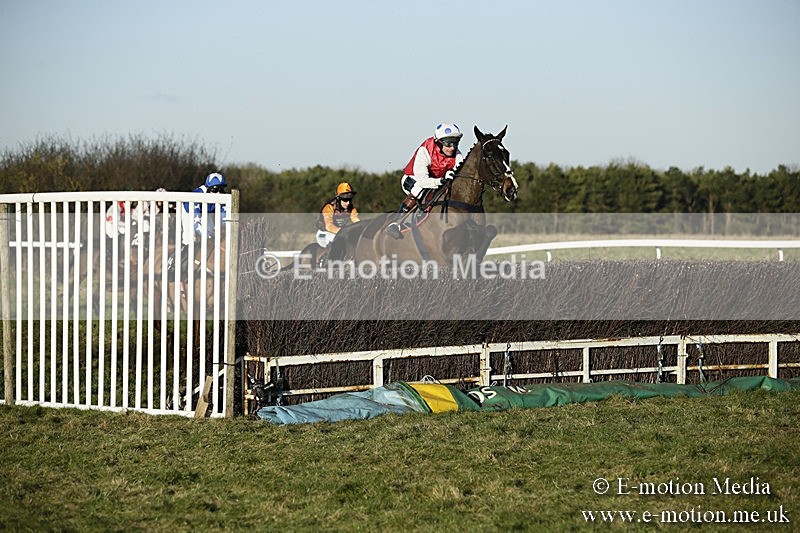 PtP 070118 -587 - Larkhill Racing Club Point to Point Larkhill 07/01/2018