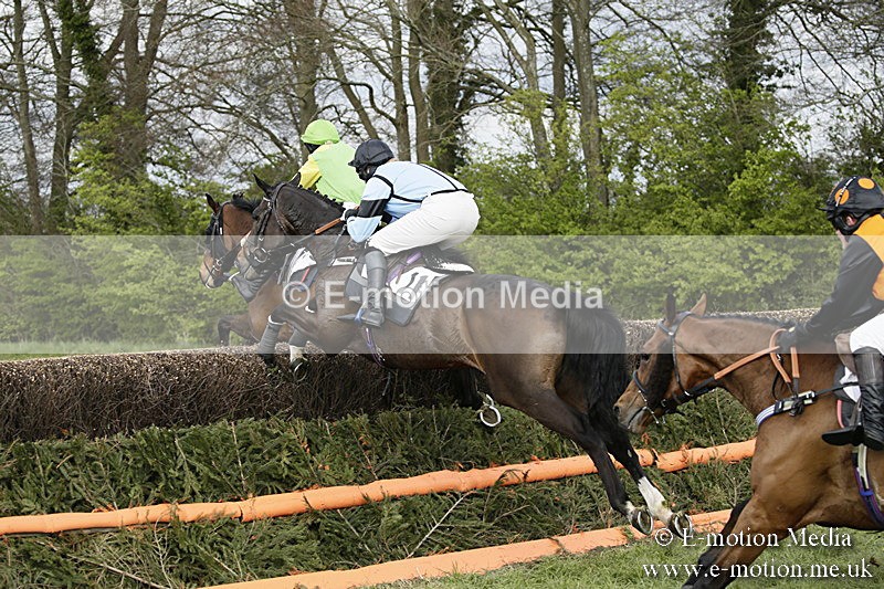 PtP 170417 340 - Old Berks Point-to-Point Lockinge 17/04/17