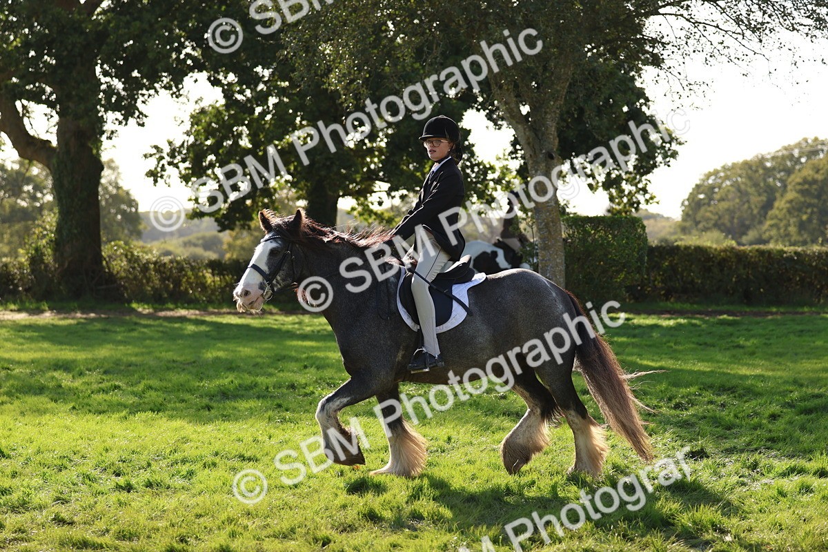SBM_52425 - S13 - Pony Club Pony