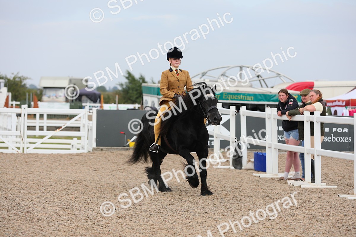 SBM_16942 - Class 314 Family Horse/Pony