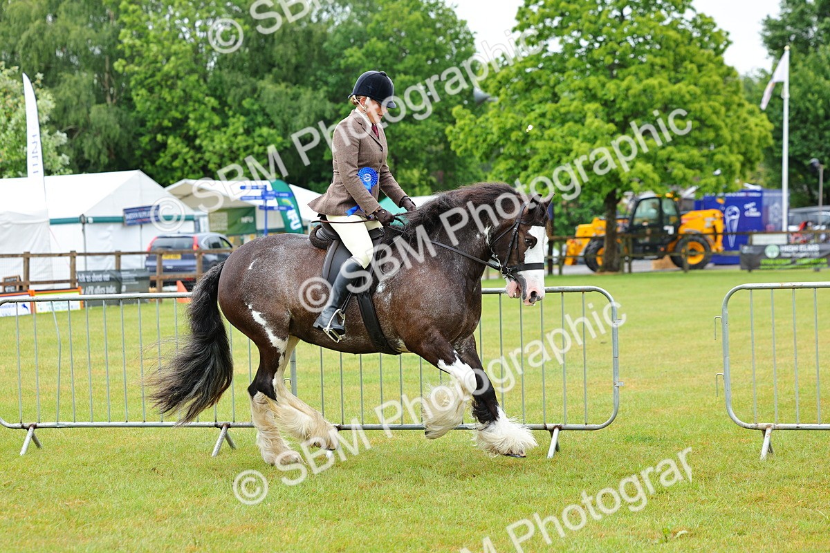 SBM_01013 - Class 1-4 - BSPA Ridden
