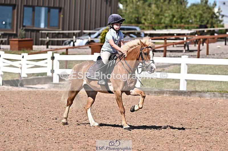 260707-161934-00038 - Clear Round 40cm and 50cm