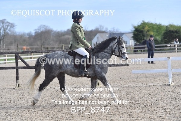 BPP_8747 - TRAINING STAKES