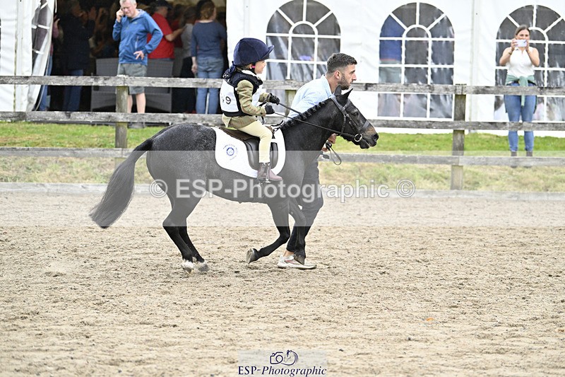 240822X-141025-08851 - 40cm LR R2 13.00 to 15.00